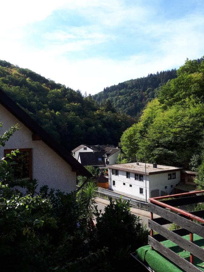 Haus Am Dekernbach Bed & Breakfast Cochem Exterior photo